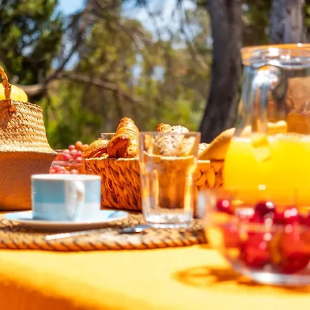 Villa Balaia Retreat - Nature &