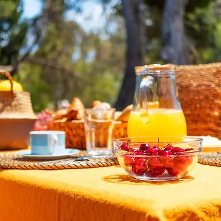 Balaia Retreat - Nature & Villa